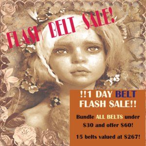One Day Flash BELT Sale! All under $30 for 1 price! Save $207!